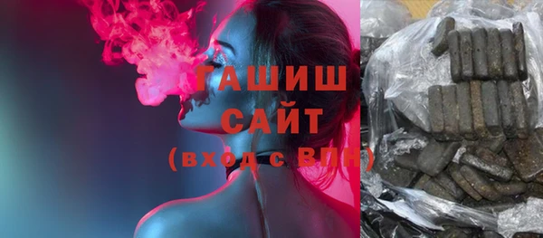 индика Надым