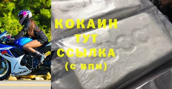 МДПВ Нефтегорск