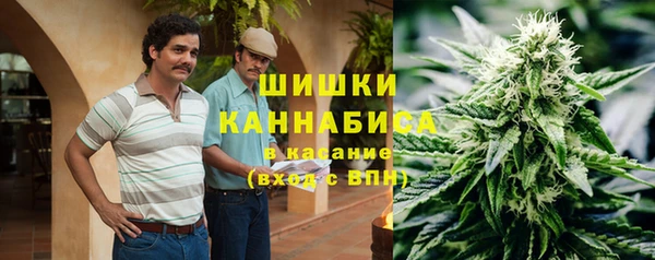 МДПВ Нефтегорск