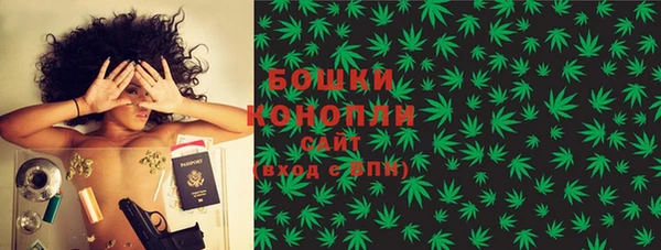 метадон Новодвинск