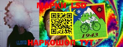 PSILOCYBIN Волжский