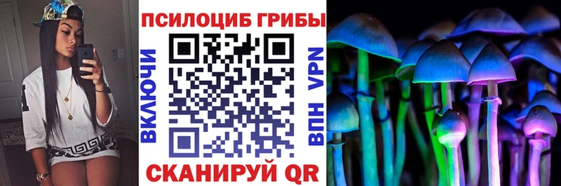 Галлюциногенные грибы Magic Shrooms  Карпинск 