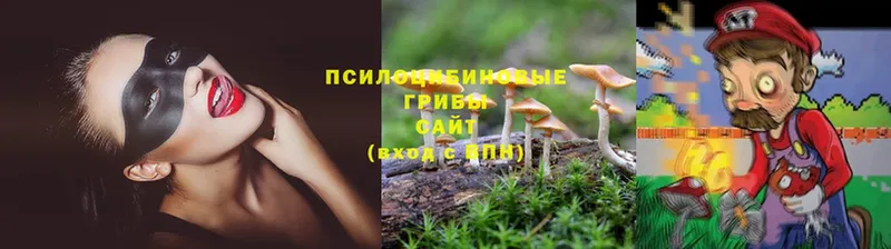 Псилоцибиновые грибы Magic Shrooms  даркнет сайт  Карпинск 